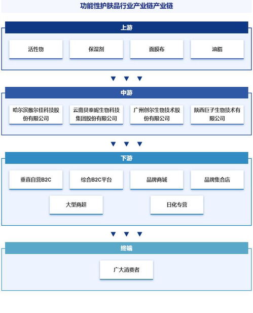 中國功能性護膚品行業(yè)分析 政策、市場集中度、競爭格局與發(fā)展趨勢預測